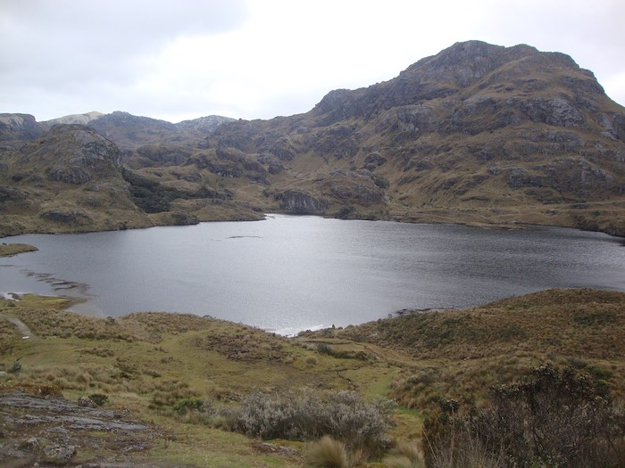 Lagoon in Cajas National Park