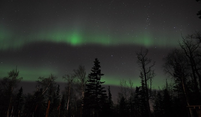 Auroras boreales sobre un bosque en Islandia