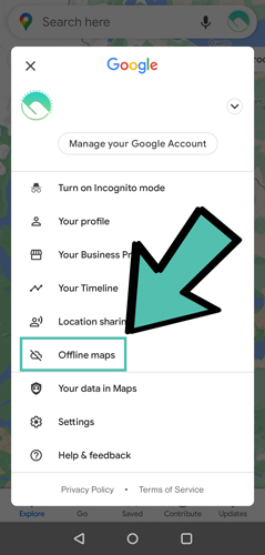 Download offline map in google maps