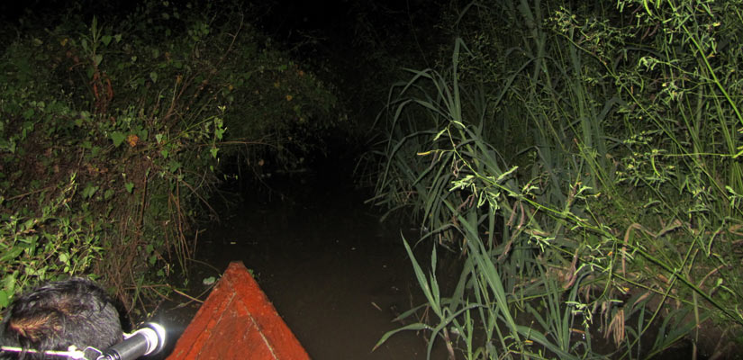 excursion nocturne en bateau à iquitos
