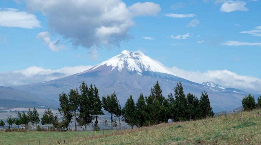 höchster berg ecuador