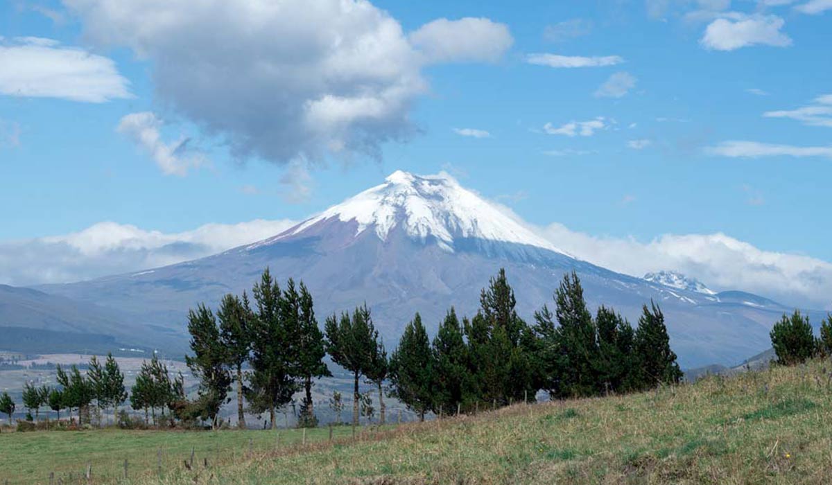 höchster berg ecuador