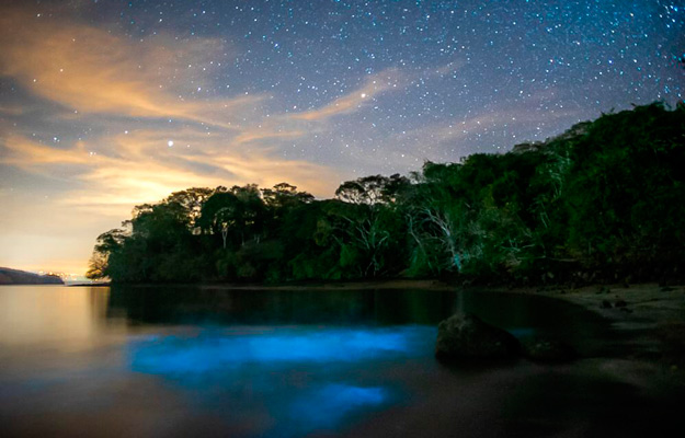 Bioluminescent kayak views Costa Rica
