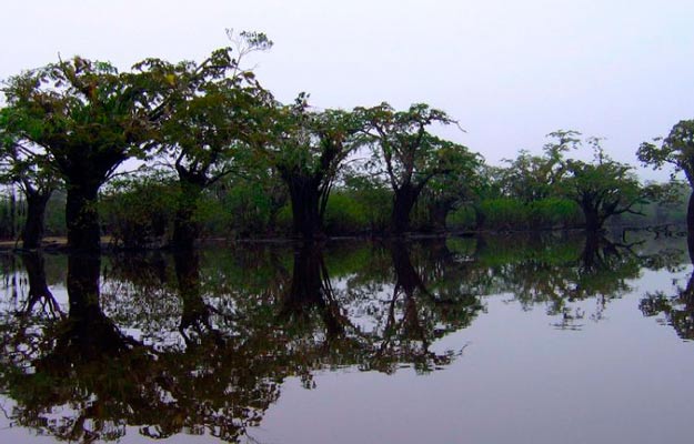 Río Reserva Cuyabeno