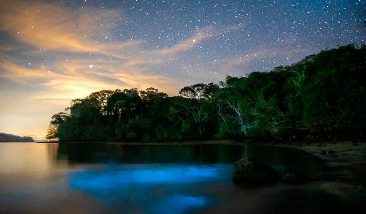 kayal bioluminiscente en aguas tranquilas