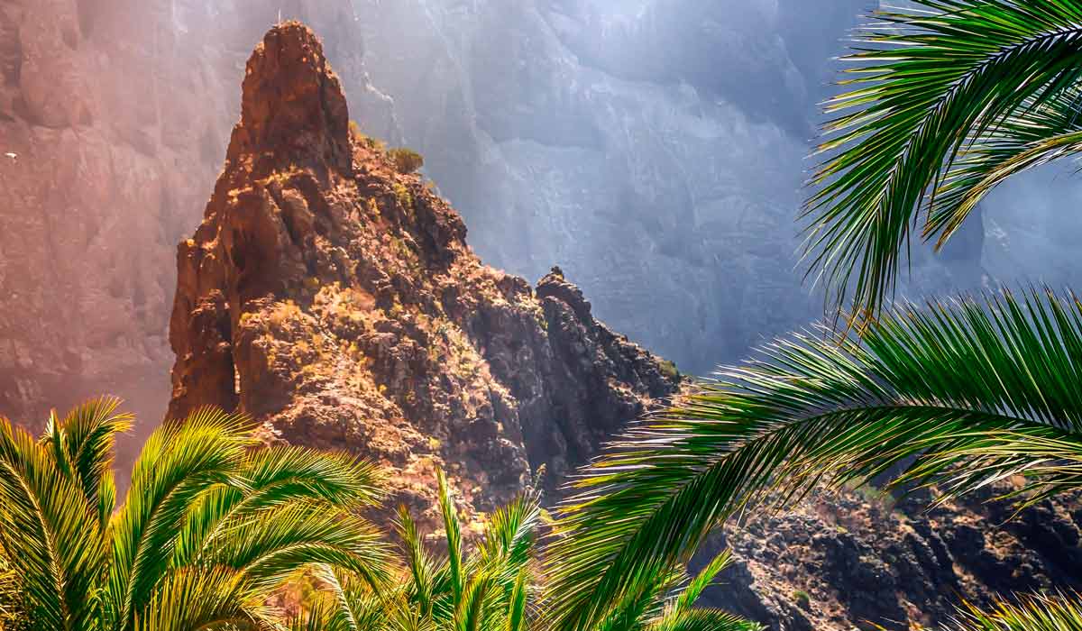 what to see and do in tenerife