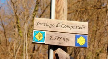 Mapa del Camino de Santiago: Las rutas principales