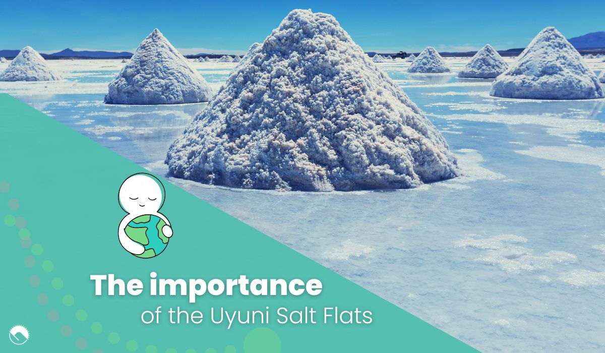 importance of uyuni salt flats